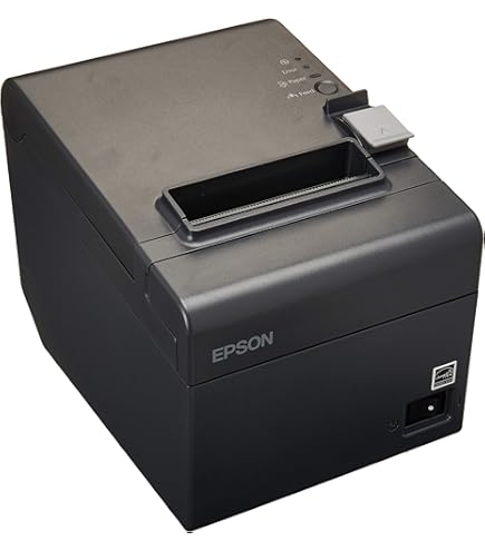 Amazon.com: EPSON TM-T20III Tickets USB & RS232;250MM/SEG;Glossy